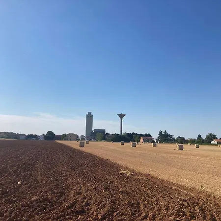 Di Design Con Giardino Bosco Marengo