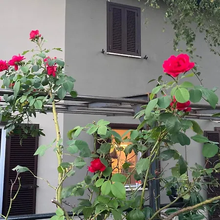 Di Design Con Giardino Апартаменты Bosco Marengo