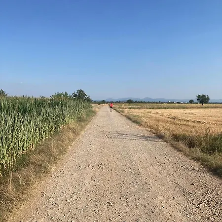 Di Design Con Giardino * Bosco Marengo