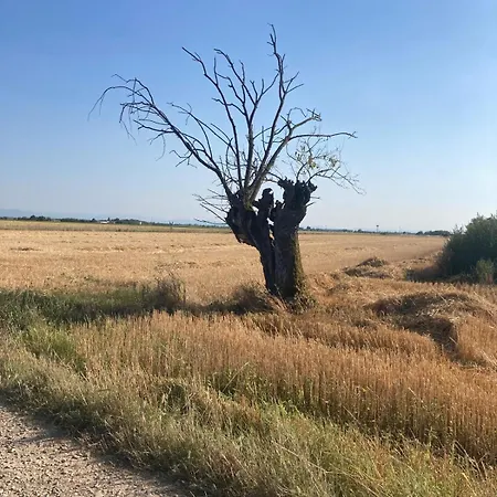 アパート Di Design Con Giardino *