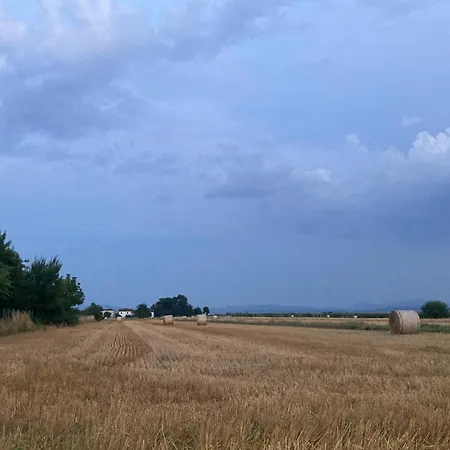 Di Design Con Giardino 公寓 Bosco Marengo