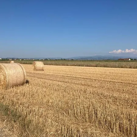 Di Design Con Giardino 公寓 Bosco Marengo