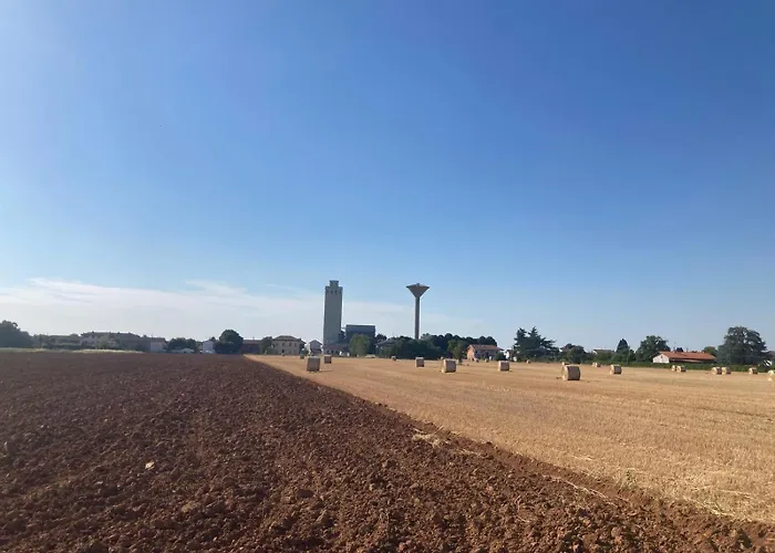 Di Design Con Giardino Bosco Marengo