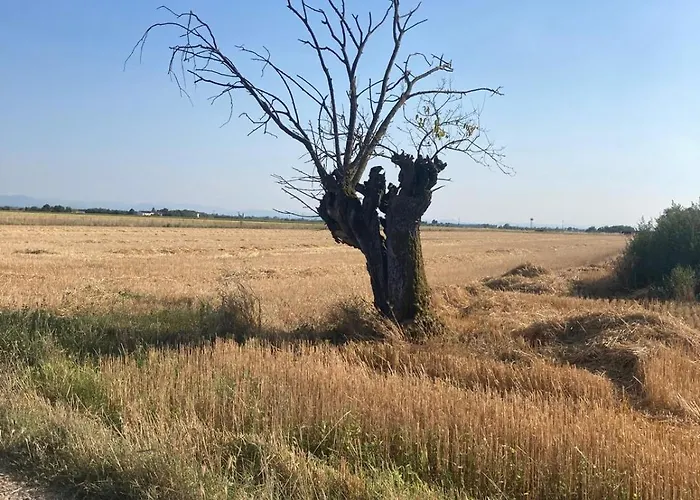 아파트 Di Design Con Giardino *