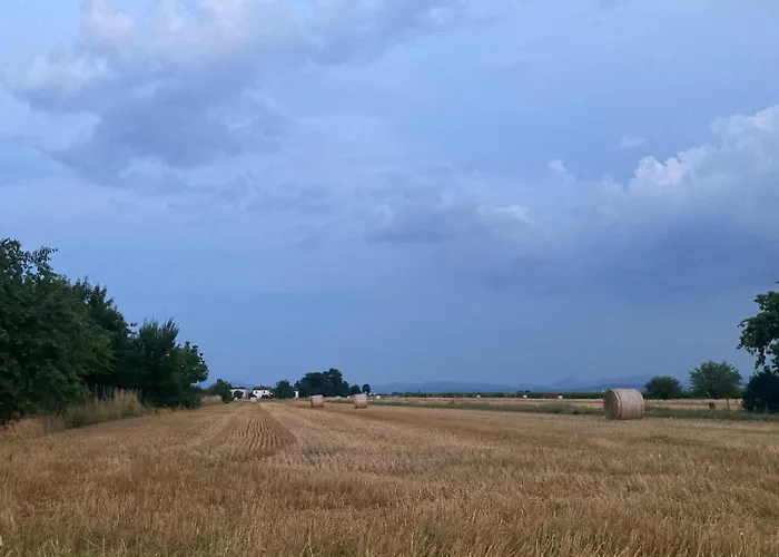 Di Design Con Giardino 아파트 Bosco Marengo