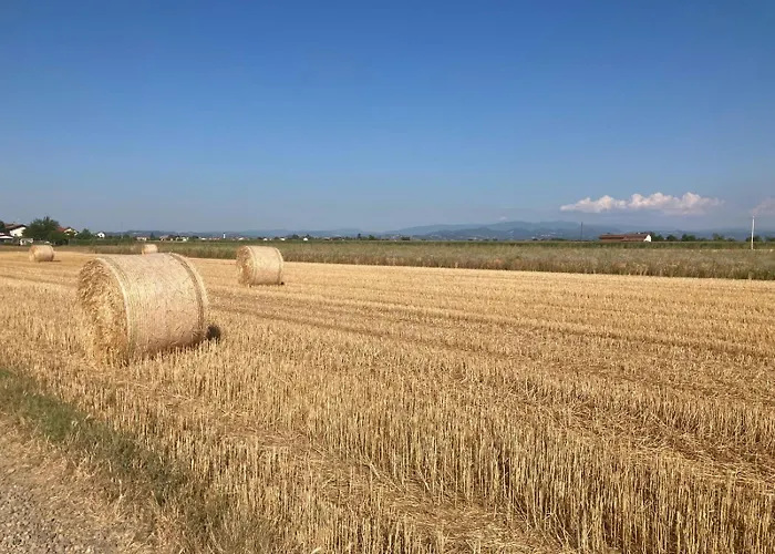 Di Design Con Giardino 아파트 Bosco Marengo